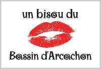 MAGNET BASSIN D'ARCACHON 0176