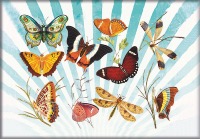  LES PAPILLONS