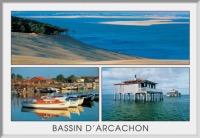 MAGNET BASSIN D'ARCACHON 1488