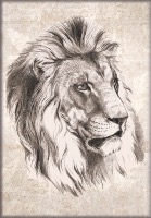 LION AU FUSAIN